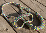 Jellybean Cob Size Muletape Halter + attached lead rope