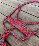 Iron Sunset Muletape Halter + attached lead rope