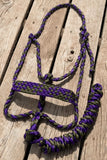 Purple Sage Halter + attached lead rope