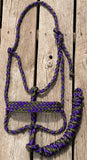 Purple Sage Halter + attached lead rope