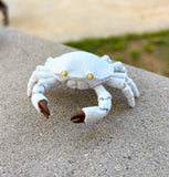 Pocket Crab