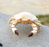 Pocket Crab