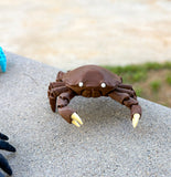 Pocket Crab