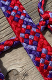 Wildberry Rush Muletape Halter + attached lead rope