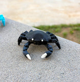 Pocket Crab
