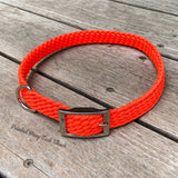 Neon Orange Large Adjustable Dog Collar