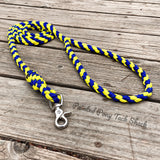 Yellow & Blue Large Braided Paracord Dog Leash