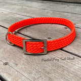 Neon Orange Large Adjustable Dog Collar