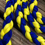 Yellow & Blue Large Braided Paracord Dog Leash