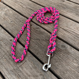 Pink Candy Highway Large Dog Leash